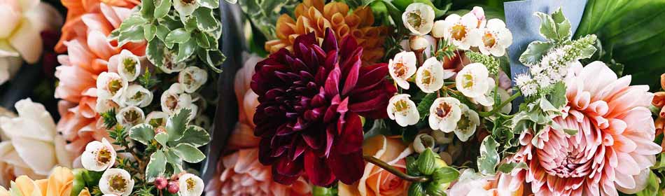 Florists, Floral Arrangements, Bouquets in the Warrington, Bucks County PA area